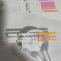 秒红秒红！！！我的周期普遍偏，今天第45天，高温第17天。 今早接了两小杯尿分别测的金秀儿排卵和早孕，...