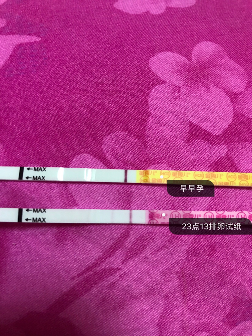 排卵试纸几乎没印了，早早孕白的发亮，看来这个