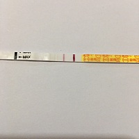 金秀儿测出这种双杠，hcg值会是多少呀