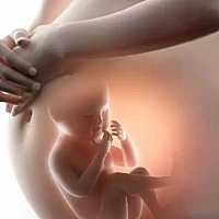 孕期的2个坏习惯，容易影响胎儿大脑发育 但很多宝妈还毫无察觉！ 妈妈们要知道，在怀孕的时候，腹中的胎...