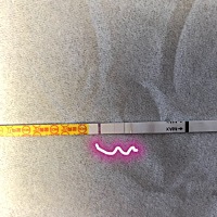 凉凉。。早晨尿测，用电筒才能看见灰印，然后现在刚测完，金秀儿是一条细细的线，排卵试纸弱弱阳。哎，凉凉