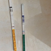 末次月经是10.03开始，10.07结束。11.14用金秀儿测了下浅两杠，11.15用大卫测更浅了。有可能怀吗？
