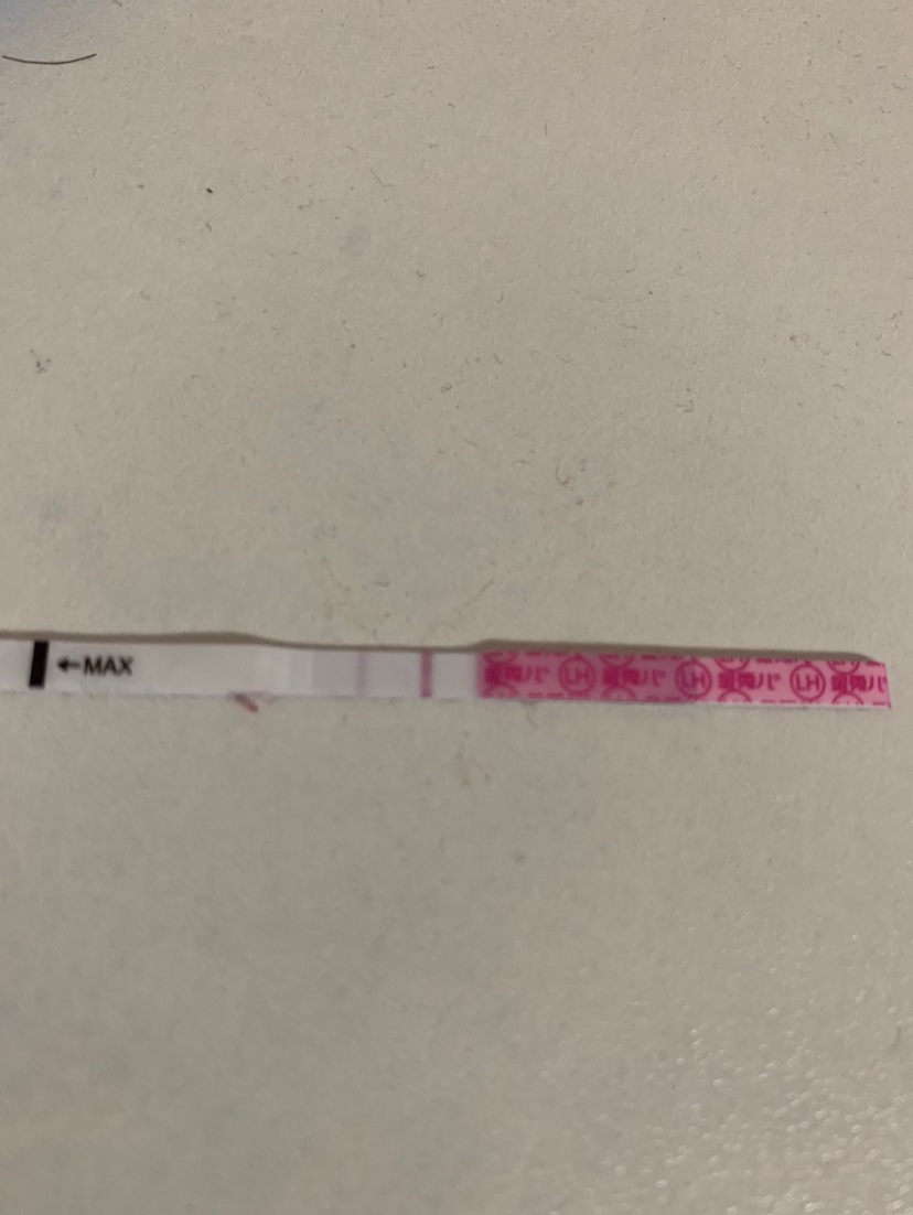2号排卵，昨天测的排卵试纸这样，是不是怀孕几率很小了呀
