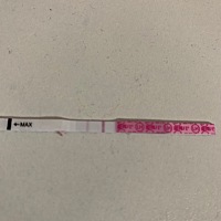 2号排卵，昨天测的排卵试纸这样，是不是怀孕几率很小了呀