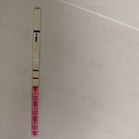 什么时候排卵？11月3号排卵日，前天开始测排卵，金秀儿是不是太敏感了，今天就强阳了，但是半定量是弱阳...