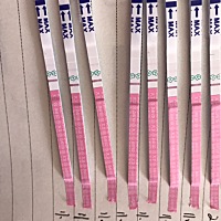 6号姨妈走，美 柚显示今天排卵日，前面也是按着排卵日安排的未孕，这个月11号开始第一次测排卵，几天过...