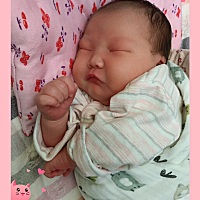 我生娃之前 特别紧张 特别怕疼 所以我选择刨宫产 但是还是担心会术后疼痛 可能是个人体质吧 我刨宫产以...