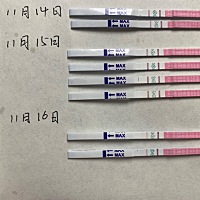10月31号末次，11月14号晚，15号晚，16号上午都安排了功课，16号颜色变淡了是已经排了吗？16号上午有安...