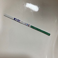 第一次经历备孕，怀孕，心情很忐忑。 本周3日为排卵期，前后各安排了一次。 本来15日要来大姨妈，一向很...