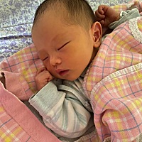 宝宝第出生第4天黄疸246了，医生要求住院，你娘亲真不想跟你分开呀我的小王子