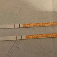 备孕6个月，前三个月一直以为不避孕就能怀，结果等来的是姨妈。八月我姐叫我测排卵，刚开始也不太懂，当...