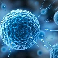哪些不孕不育可以选择试管婴儿技术呢 试管婴儿是不孕症治疗的结束步骤，也是较快捷和较有效的治疗方法，...