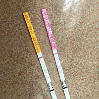 有没一样的？今天同房第十二天，测得早早孕白板排卵纸白板，前天排卵纸还弱阳金秀儿今天直接大白板😂...
