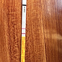 末次10月21，今早测的