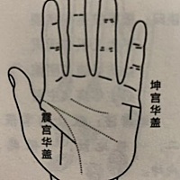 华盖纹：有这样纹路的人，有着艺术家的天赋，对艺术上的认知很有独特的见解，并且有这纹路的人乐于做善事。