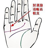 财运线清晰而粗直

财运线又名水星线，是出于水星丘（小指根部）的短竖线，是衡量一个人财运好坏的重要...