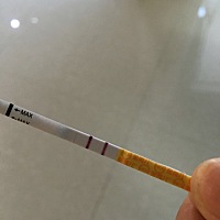 帮我看看，十一月十一号的排卵期今天下午用早孕纸测试了一下有两条杠😏但大姨妈要二十五号才来看了金...