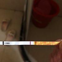 神经病了已经，晚上做梦都是在验孕，昨晚做梦，梦到自己验孕居然有四条杠！结果早上起来一测，还是大白...