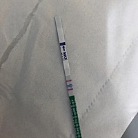 宝妈们快看看这个是确定肯定怀上了吗？期盼了好久好久了，刚刚中午测的，会不准吗？激动的不行