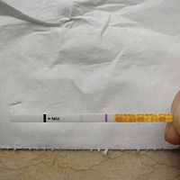 九月结婚，婚前就开始备孕，刚刚测金秀儿的早早孕白板，一直有排卵期出血，去妇幼看过，医生说没事，但...