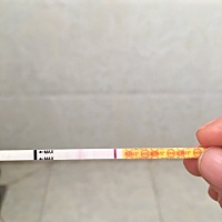 未次月经是11.2，我一般是25天的周期，连续测了一个周的秀儿都是白板，今天软件显示月经来的，平时准时...
