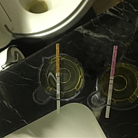 看不明白，刚才测了金秀儿的排卵试纸，颜色很深，再测早早孕，颜色很浅，不知道是否怀孕了