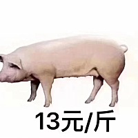 朋友发的一组图，我笑了，太真实了！
