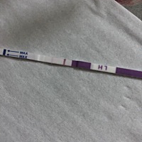 准备来姨妈前三天验排卵试纸也能有印的嘛