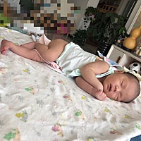 可爱的小家伙，希望可以一直乖乖下去，晚上也不要磨人哟