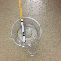 排卵过后一直有血丝直到大姨妈，今天是第8天了，金秀儿的早早孕白板。