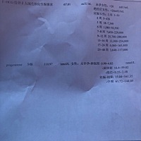 这是怀孕了吗