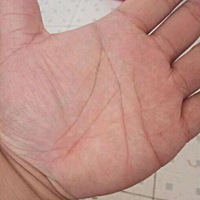 从手形看，属于创造型。自力更生，不愿依靠别人，生命线拓志有道亮丽深刻与智线形成完美的结合。立志过...