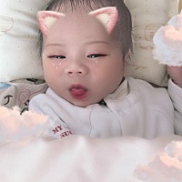 第十五天咯
