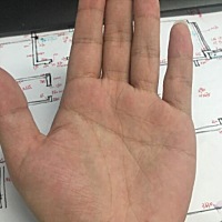 双手断掌性格强势，事业心重，财运很好，一生的生活比较稳定，工作事业的发展会比较顺利，一生钱财不缺...