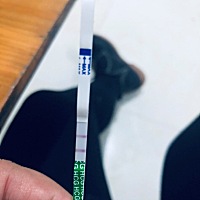 请问下这个是怀孕了吗？不是说假如排卵期测也会是两条杠嘛