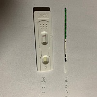 这是怀孕了，还是炸糊