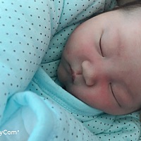 小公主👸七斤2两:打了无痛 没力气生 还好医生技术好 按肚子出来的！生孩子宫嗦真是酸爽！