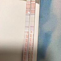 请问这是排卵了吗