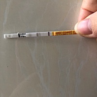 同房第九天就验出意念灰不会被炸胡吧