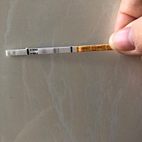 一胎儿子才一岁多二胎就来了
