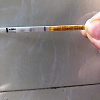 这是怀孕了吗？