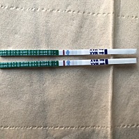 大姨妈迟到2天，今早起床刚测，很浅，亲们帮看看呢。