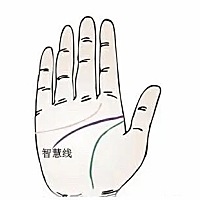 【手相看事业财运】手相智慧线长的好处：  智慧线深长而明显的人容易成功，赚钱容易。智慧线也被人们叫...