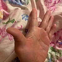 男长女相主富贵，女长男相主多劳！猜猜这是男手还是女手？😂