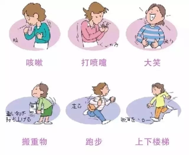 1.盆底功能障碍 ，难言之隐。
在门诊中，常常有这样的病人——半夜起床小便，刚一坐起，就禁不住尿到了裤子里；生怕在公共场所控制不住小便，外出前只好垫上卫生巾或尿不湿……放声大笑会漏尿要追溯到分娩时！盆底功能障碍患者中，一半以上的患者存在不同程度的排尿异常。
