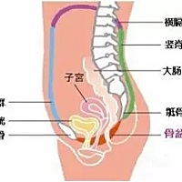 1，找不到盆底肌👇🏻👇🏻👇🏻👇🏻 2.基础差 于产后42天的产妇，还有老年患者来说，盆底...