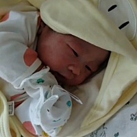 哥哥已经9岁了，才又想起再生一个，今年得一猪猪女孩儿，很满足了 第一天 后面几天 出院回家 满月后 三...
