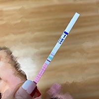 怕错过排卵日，麻烦姐妹们给看下的，谢谢啦