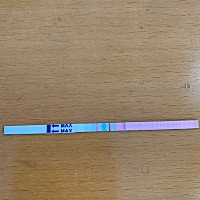 11月28日来月经，12月4日月经最后一天，12月5日月经彻底结束，前两天排卵测都是一条线，今天十点测试这...