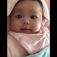我女儿👧🏻，从一出生开始就很乖也很棒，平时除了饿急了会哭闹，其他时间她都是自己瞪着个大眼睛探...